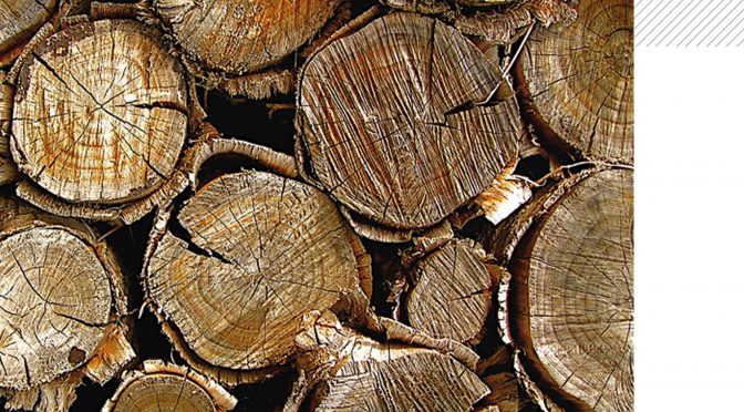 Alimentarité des emballages en bois