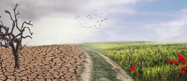 COP26 : un bilan contrasté qui peine à convaincre