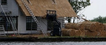 Le végétal dans la construction en forte augmentation ces dernières années