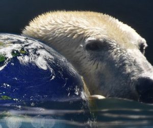 Le monde se dirige toujours vers un réchauffement de +2,7°C