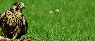 Le meilleur de la tech #14