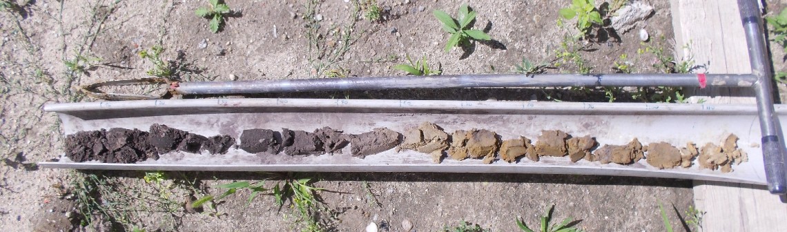 La qualité des sols en France : état des lieux