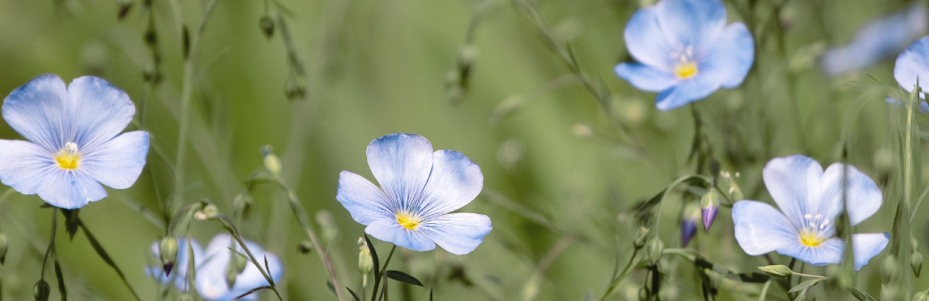 L’art pour comprendre le vieillissement des écomatériaux