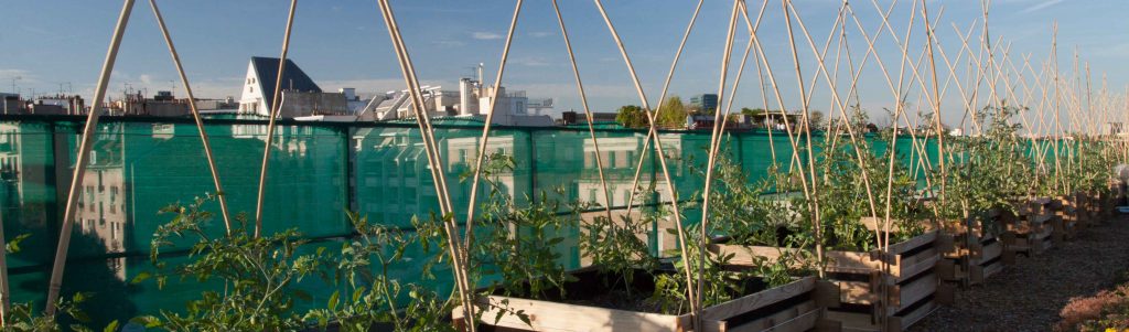 Impact des aménagements urbains sur la biodiversité du sol