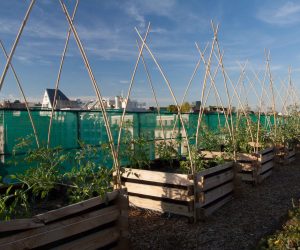 Impact des aménagements urbains sur la biodiversité du sol