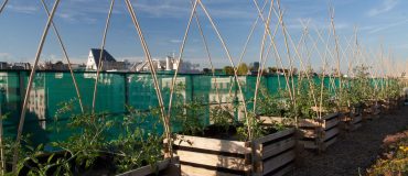 Impact des aménagements urbains sur la biodiversité du sol