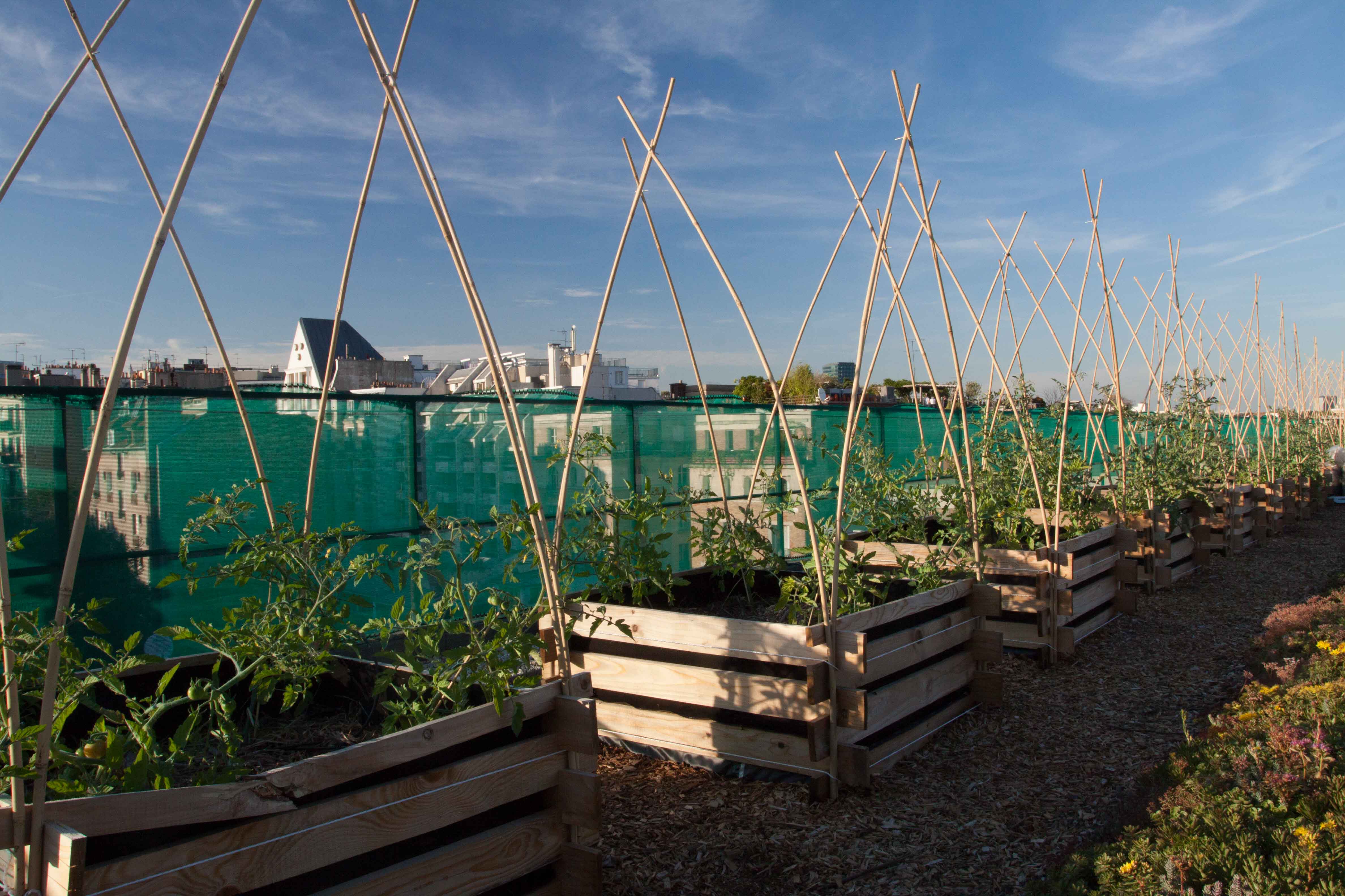 Impact des aménagements urbains sur la biodiversité du sol