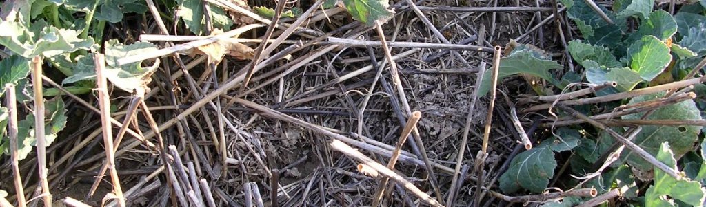 Les potentialités de stockage de carbone dans les sols agricoles