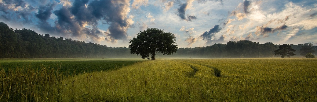 Le citoyen au service de la qualité biologique des sols