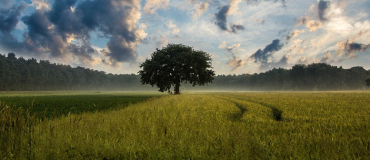Le citoyen au service de la qualité biologique des sols