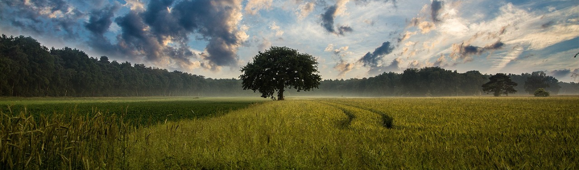 Le citoyen au service de la qualité biologique des sols