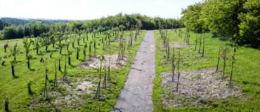 Les technosols : une solution pour les villes durables