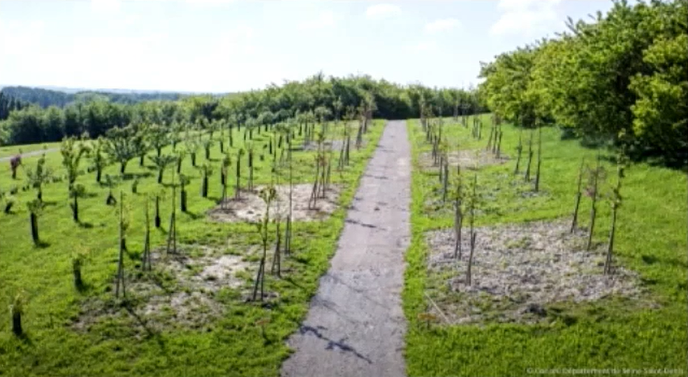 Les technosols : une solution pour les villes durables