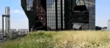 De la biodiversité sur les toits de Paris