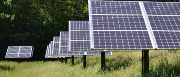 Expérimenter le pâturage des bovins au milieu de plusieurs haies photovoltaïques
