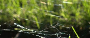 « Nous récoltons des données sur une échelle géographique et temporelle jamais vue auparavant »