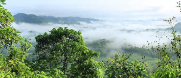 L’analyse de données satellites montre que la forêt Amazonienne se fragilise dangereusement