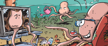 En image : les pieuvres construisent leurs habitats avec nos déchets