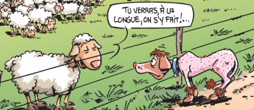 En image : un agriculteur sème des poils de chien dans ses champs pour éloigner les sangliers
