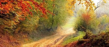 L’ONF lance des projets label bas-carbone pour ses forêts