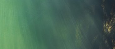 Grands fonds marins : privilégier la connaissance avant l'exploitation