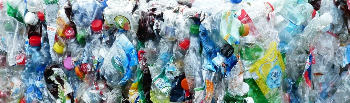 Une alternative aux emballages plastiques grâce au mariage de la cellulose et de la céramique