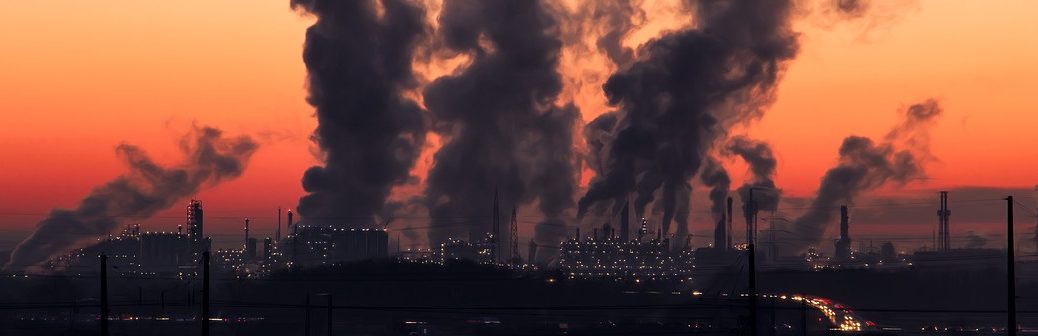 Stocker le carbone : indispensable pour atteindre l’objectif Net Zéro ?