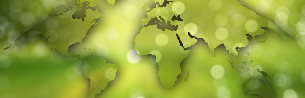 SNBC sous contrainte de ressources : l’électrification, cette filière au cœur de la décarbonation qui repose sur l’utilisation de ressources critiques