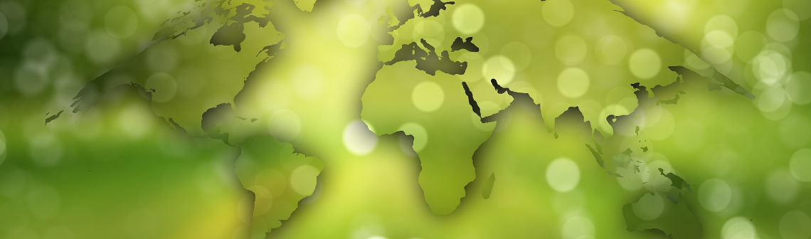 SNBC sous contrainte de ressources : l’électrification, cette filière au cœur de la décarbonation qui repose sur l’utilisation de ressources critiques