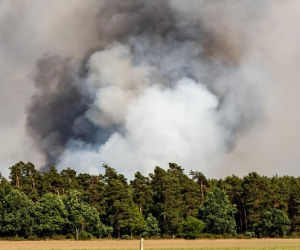Les feux de forêt font exploser les niveaux de particules fines
