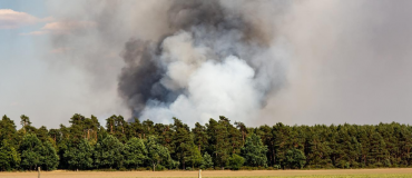 Les feux de forêt font exploser les niveaux de particules fines