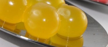 TreeFrog Therapeutics : une technologie de rupture au service de la médecine régénérative