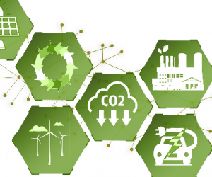 2050 : la mise en place d'une stratégie bas carbone sous contraintes