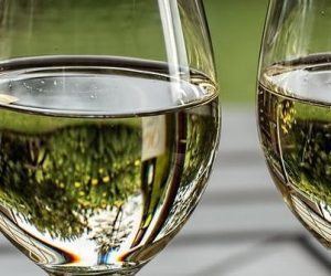 Mesurer la stabilité oxydative des vins blancs grâce au test DPPH