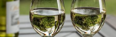 Mesurer la stabilité oxydative des vins blancs grâce au test DPPH