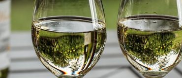 Mesurer la stabilité oxydative des vins blancs grâce au test DPPH