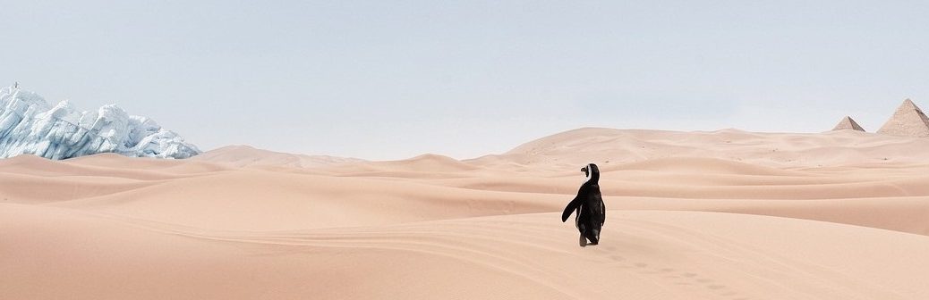 CO2 atmosphérique et changement climatique