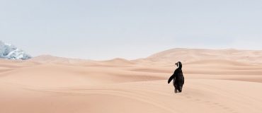 Le rôle du CO2 atmosphérique dans le changement climatique