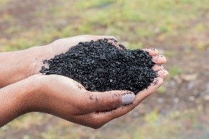 biochar NetZero