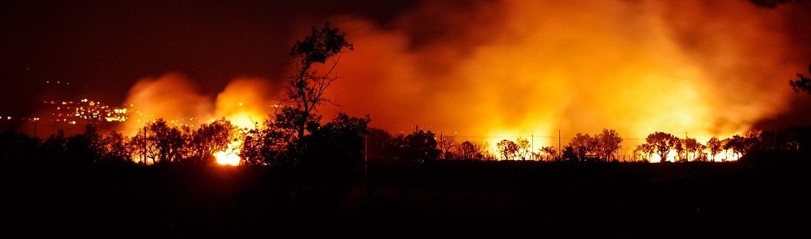 forêt française, planter des arbres, incendies