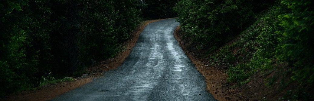 CESE, mobilité durable, sobriété