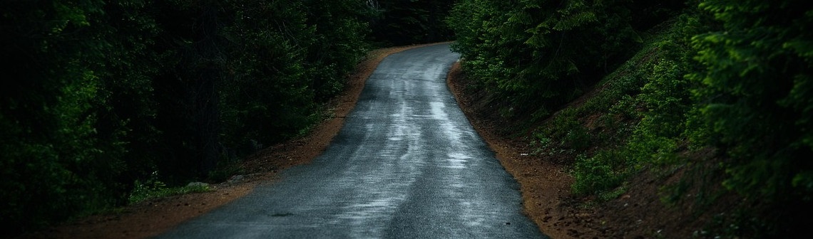 CESE, mobilité durable, sobriété