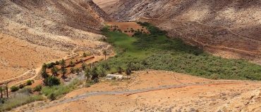 Le reboisement des terres arides peut potentiellement participer au réchauffement climatique