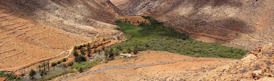 forêt, stockage carbone, réchauffement climatique