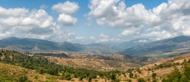 Comment construire une filière scientifique solide en Afrique ?