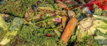 Too good to go, Lamazuna : deux héroïnes des modèles transformateurs