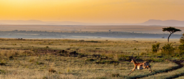 Les startups africaines luttent contre le réchauffement climatique