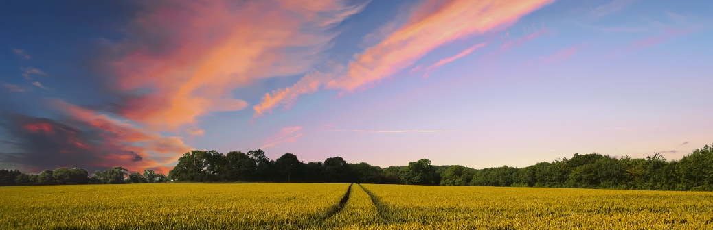 Hectar veut attirer des super-entrepreneurs vers l’agriculture