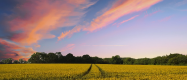 Hectar veut attirer des « super-entrepreneurs » vers l’agriculture