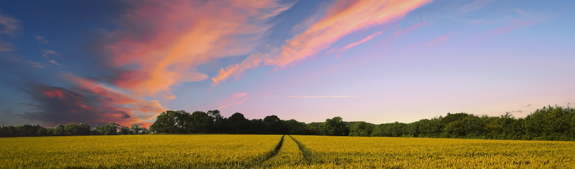 Hectar veut attirer des super-entrepreneurs vers l’agriculture